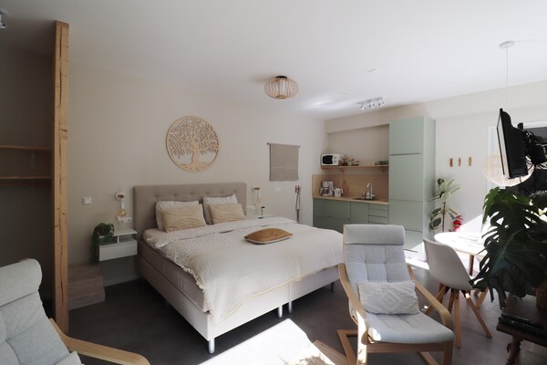 Stijlvol studio-appartement in het hart van het Friese platteland - thumbnail 4