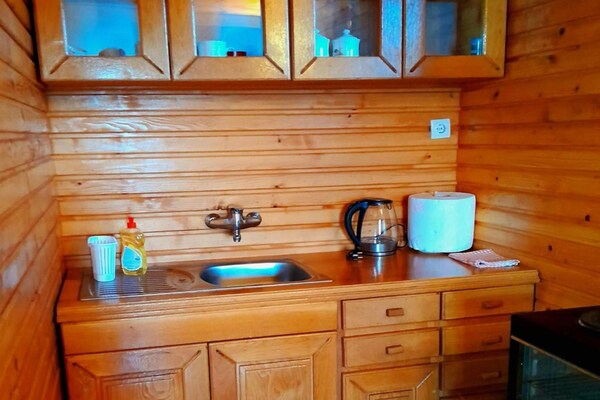 Ruim appartement met terras voor 6 in het rustige Mojkovac - thumbnail 6