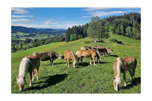 Authentiek Alpenverblijf voor 12 personen met sauna en uitzicht op de Allgäu - thumbnail 4