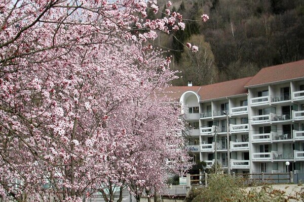 Knus appartement in Allevard-les-Bains, vlakbij de thermen - thumbnail 5