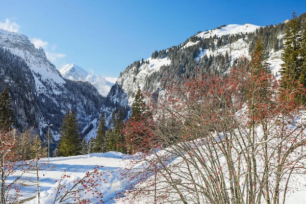 Ruim 10-persoons appartement op 100m van de piste in Flaine - thumbnail 6
