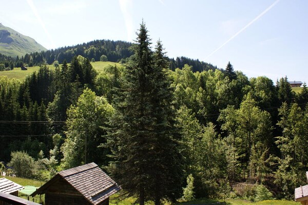 Studio-appartement met zuidelijk balkon en bergzicht in Le Grand-Bornand - thumbnail 6