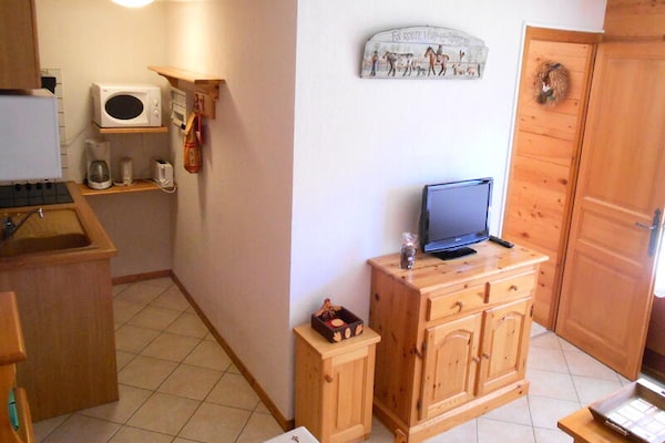Zonnig appartement op het zuiden, vlakbij de piste in Le Grand Bornand - thumbnail 2