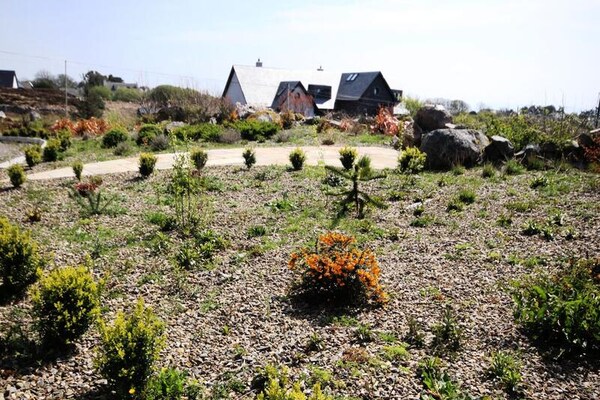 Ruim vakantiehuis voor 6 personen met tuin, vlakbij strand en Galway - thumbnail 5