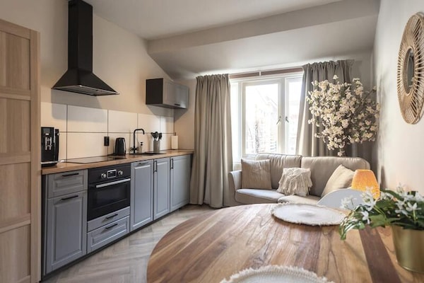 Boutique appartement op loopafstand van het strand van Zandvoort - thumbnail 3