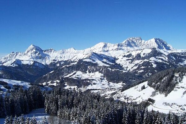 Knus appartement op het zuiden aan de pistes van Espace Diamant - thumbnail 4