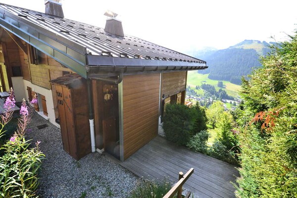 Chalet De Cassiopee: Ski-in/ski-out met uitzicht op de Mont Blanc - thumbnail 6