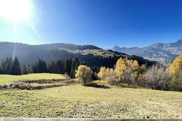 Authentiek Alpenappartement voor 8 personen, direct bij skigebied Espace Diamant - thumbnail 5