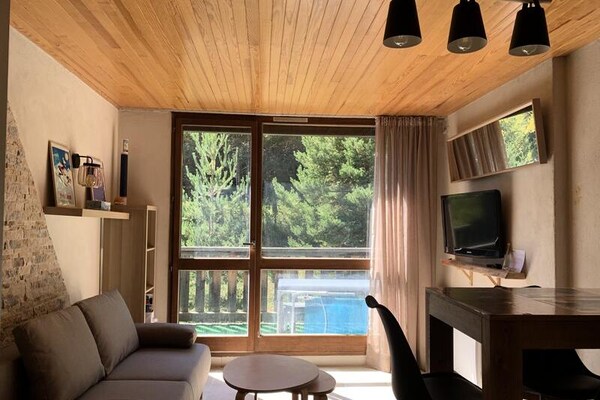 Gerenoveerde studio op 80m van de piste in Pra-Loup met balkon en vaatwasser - thumbnail 2