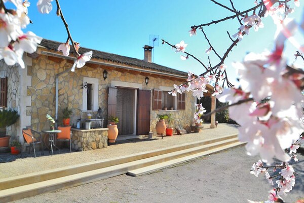 Ruim appartement Maison à Ariany in Muro voor 6 personen - thumbnail 4