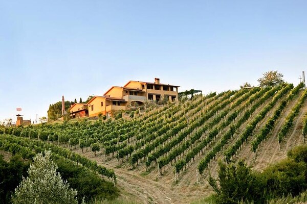 Toscaans appartement in Borgo Filicardo, Montespertoli - thumbnail 6
