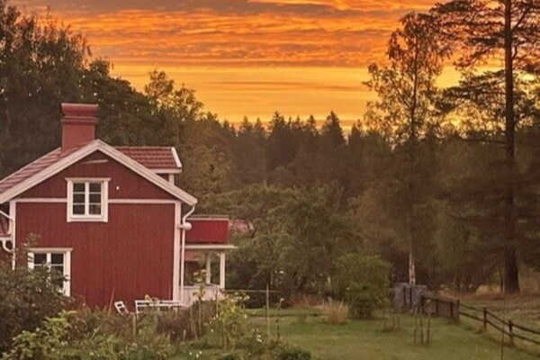 Charmant vakantiehuis bij meer in Småland met grote tuin - thumbnail 6