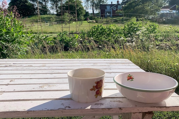 Charmant vakantiehuis bij meer in Småland met grote tuin - thumbnail 4
