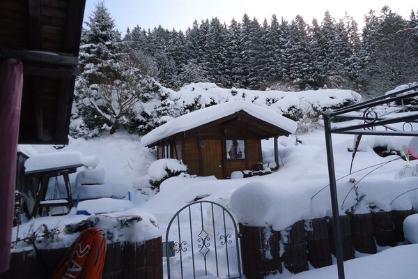 Knus vakantiehuis Haldenhäusle in het Zwarte Woud bij Titisee - thumbnail 3