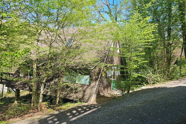 Knus 5-persoons chalet in de bossen van Durbuy met omheinde tuin - thumbnail 2