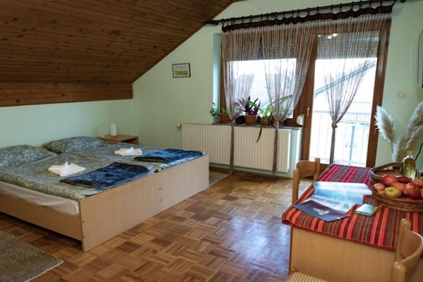 Knus verblijf voor 3 in Osijek met ontbijt, WiFi en huisdier toegestaan - thumbnail 2