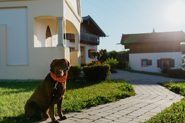 Vital Ferienhaus - Bayern