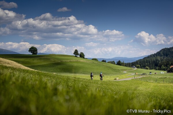 Alpenappartement met wellness op 500m van skilift Kreischberg - thumbnail 3