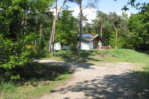 Eco-bosretraite voor 8 personen op Vakantiepark Herperduin - thumbnail 2