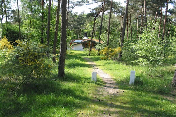 Eco-bosretraite voor 8 personen op Vakantiepark Herperduin - thumbnail 3