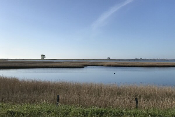 Exclusief strandhuis aan de Oostzee in Gelting met tuin en serre - thumbnail 3