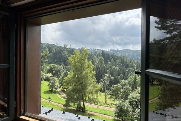 Ruim vakantiehuis voor 11 personen in Furtwangen, Zwarte Woud - thumbnail 5