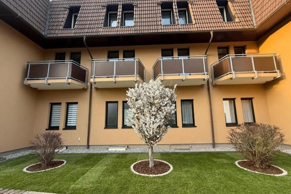Rolstoeltoegankelijk appartement in Feldberger Seenlandschaft - thumbnail 6
