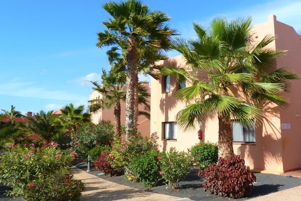 Sfeervol appartement met zeezicht aan natuurpark Las Dunas, Corralejo - thumbnail 3