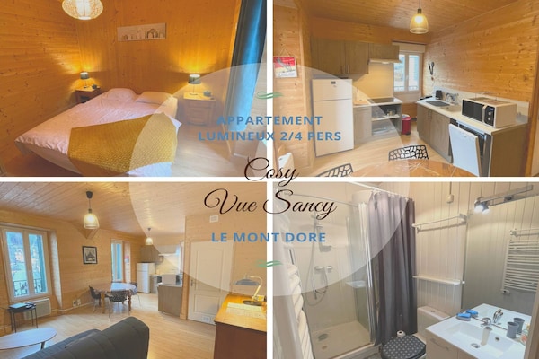 Knus appartement aan de golfbaan in het hart van Mont-Dore - thumbnail 6