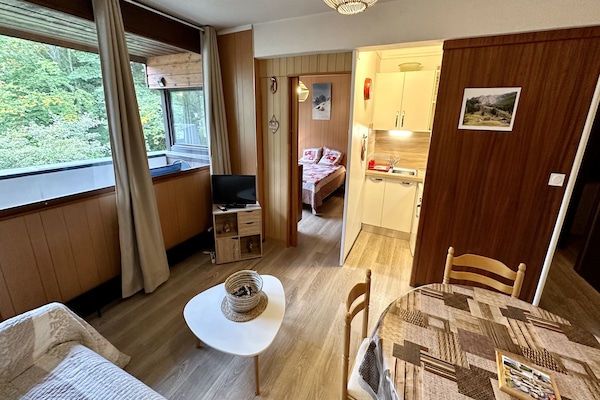 Knus appartement voor 4 personen in het hart van Mont-Dore - thumbnail 6