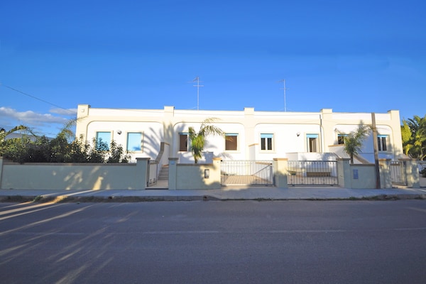 Ts Quadri B - Puglia