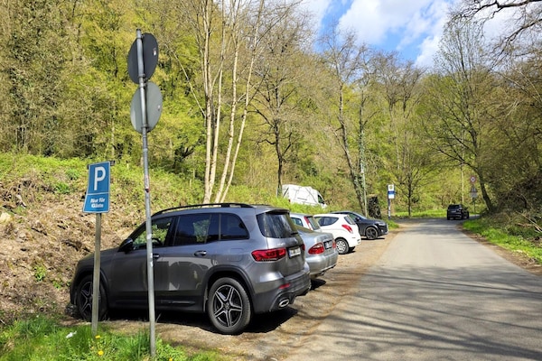 Compacte eenpersoonskamer in het groen nabij Koblenz - thumbnail 6