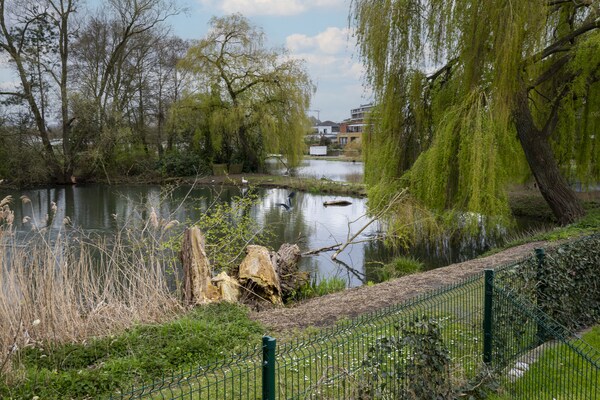 La Rive du Lac - thumbnail 2