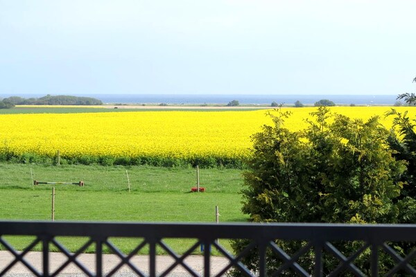 Bauernhaus 2 - Sommar - thumbnail 6