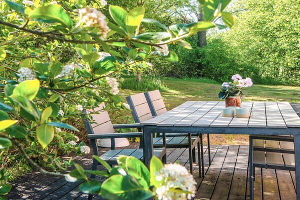 Historische villa op 6.875 m² natuur in Tim, West-Jutland - thumbnail 2