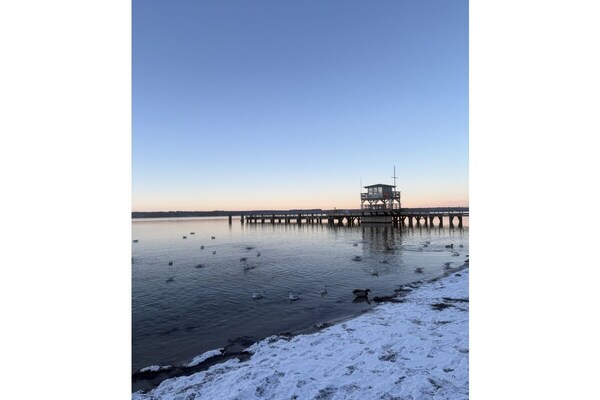 775305 - thumbnail 4