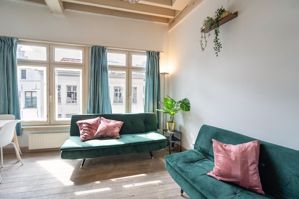 Temp_3 - Flanders