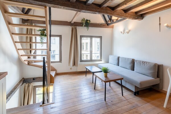 Ruim triplex-appartement voor 1 persoon in historisch Antwerpen - thumbnail 3