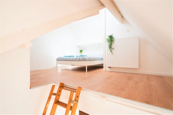 3-slaapkamer appartement (115m²) in hartje Antwerpen - thumbnail 4