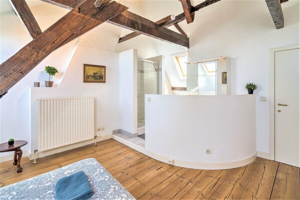 Ruim 4-persoons duplexappartement in hartje Antwerpen - thumbnail 6