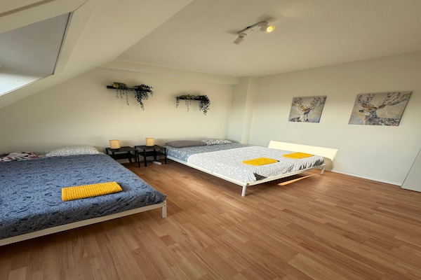 Licht 4-persoons appartement met 2 slaapkamers in Antwerp - thumbnail 5