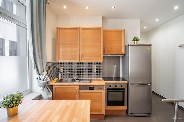 Ruim 75 m² appartement voor 1 persoon in hartje Antwerpen - thumbnail 4