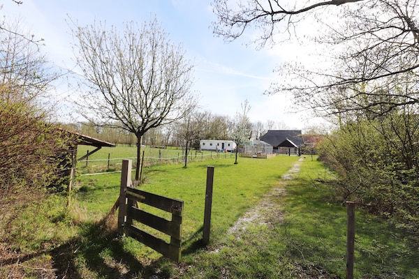 Buitenvreugde: Ruim chalet met uitzicht over Friese landerijen - thumbnail 1