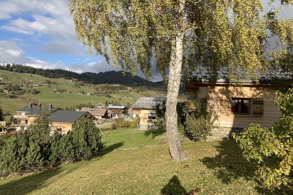 Authentiek chalet voor 5 personen aan de bosrand bij Notre Dame de Bellecombe - thumbnail 5