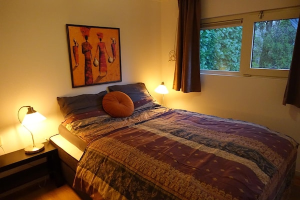 Knus chalet met besloten tuin tegenover vakantiepark Rheezerveen - thumbnail 5