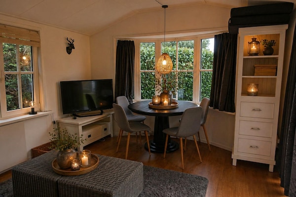 Vrijstaand chalet met grote tuin en veranda tegenover vakantiepark Rheezerveen - thumbnail 4