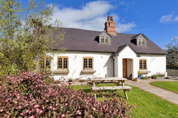 Waen Farm Cottage - North Wales