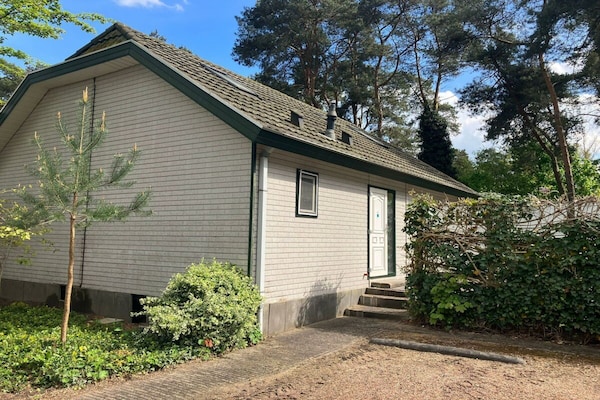 Ruim vakantiehuis voor 14 personen met 7 slaapkamers - thumbnail 1