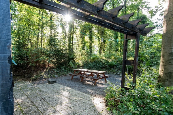 8-persoons vakantiehuis met afgesloten tuin in Rendeux - Beffe - thumbnail 5