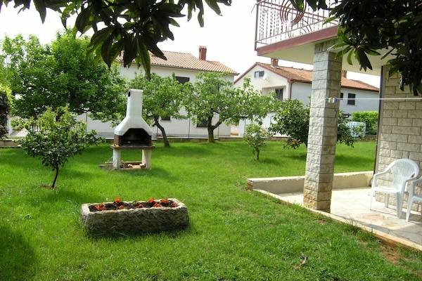 4-persoons vakantiehuis in Novigrad met terras onder kiwiboom - thumbnail 5